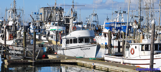Westport Marina